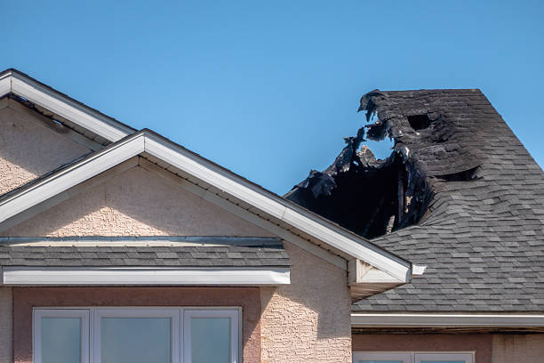 Top rated local Odor Removal specialists in Greenbelt, MD